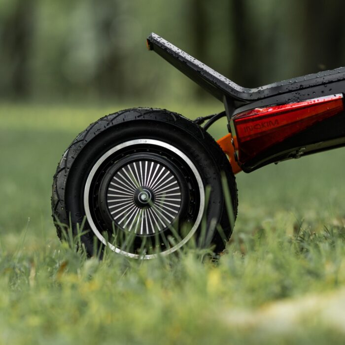 TLR02831-scaled