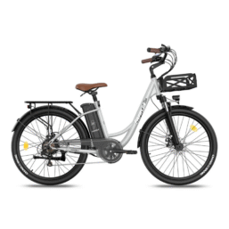 Fafrees F26 Lasting Elektriratas, 100 km