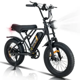 Koolux BK29 Elektrijalgratas 100km