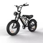 electric-bike-koolux-bk29-e-bike-61148420243796